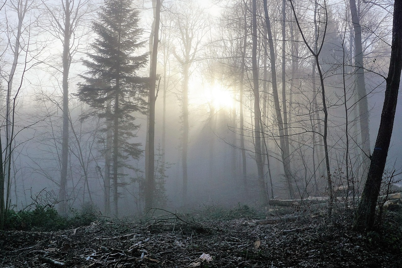 Vrouw gebruikt lichttherapielamp bij zonsopgang. Vrouw gebruikt lichttherapielamp bij zonsopgang.
