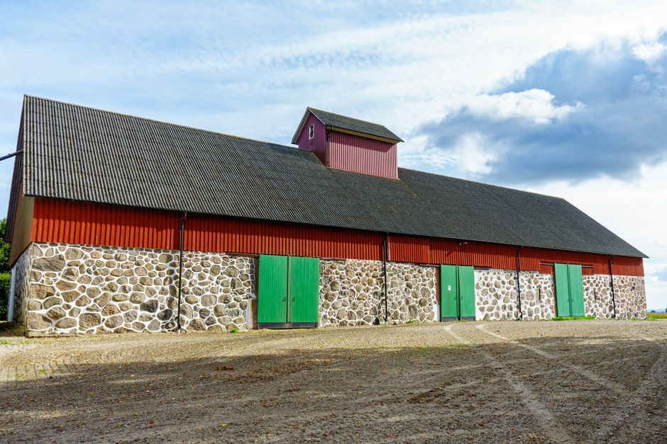 Schuurdak met plantaardig materiaal en insecten. Schuurdak met plantaardig materiaal en insecten.