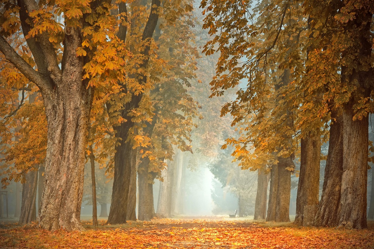 Romantische herfsttafel met diverse kaarsvormen.